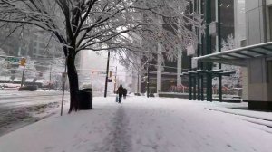 EXTREME SNOWSTORM 2024 in Downtown Vancouver BC, Canada. Travel