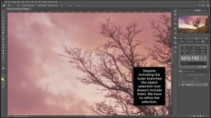 How To Select Branches in Photoshop | Photoshop Tutorial