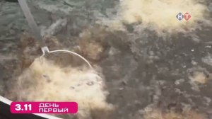 Фестиваль черноморской рыбы «ХАМСА"