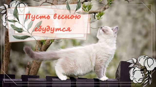 С первым днём весны! пришла весна!