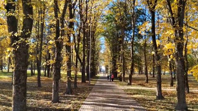 Поселок Романовка Всеволожского района Ленинградской области. Осень, начало октября.