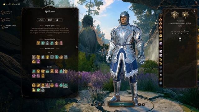 THE ULTIMATE HOLY PALADIN (Cleric/Paladin) BUILD in Baldur's Gate 3 смотреть онлайн