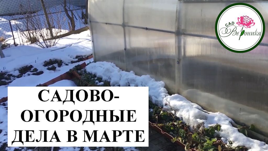 Дела в саду в марте. Дача в марте фото. март на даче.