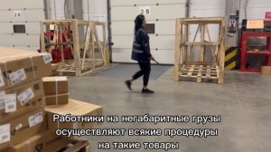Видео с места работы склад посылок ДПД п.Икша, Московская область