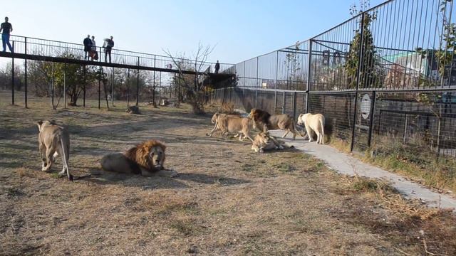 САМАЯ ЭКСТРЕМАЛЬНАЯ уборка в Мире ! смотреть онлайн