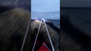 ОВХ идем в сильный ветер на двух лодках ПВХ. 27.08.22