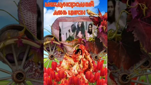 Международный день цыган. Красивое поздравление с праздником! смотреть онлайн