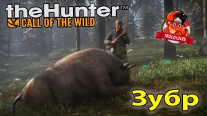 the Hunter Call of the Wild Охота на Зубра