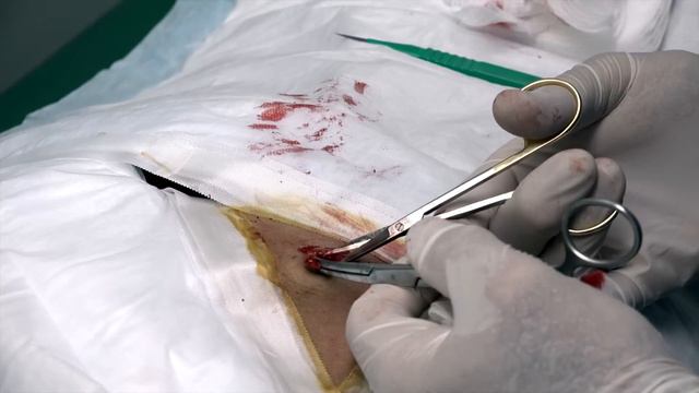 Midge Exploding Back Junk! Gratuitous Replay! смотреть онлайн