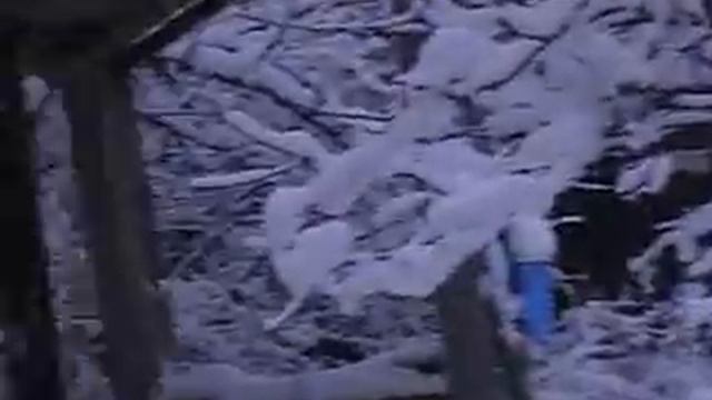 Снегопад в Подмосковье!!!) смотреть онлайн