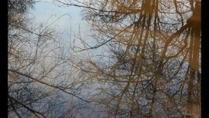 Лужа - стихи Юлии Вихаревой, муз., исп. - Игорь Малыгин