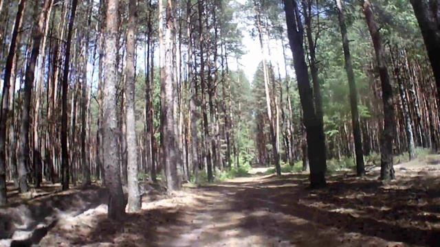 Харьковский лес (АПЗ)