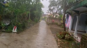 2 Hours Heavy Rain Walk in Village | Relaxing Rain Sounds for Sleeping ASMR