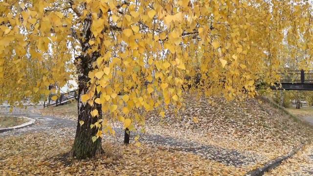 Шура 💥💗💥 А просто осень пришла 🍂🍂🍁🍂🍂 смотреть онлайн