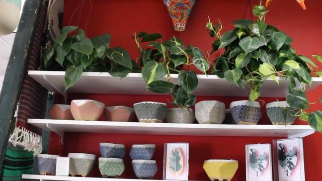 Welcome to Green Lady Gardens: Denver House Plant Boutique смотреть онлайн