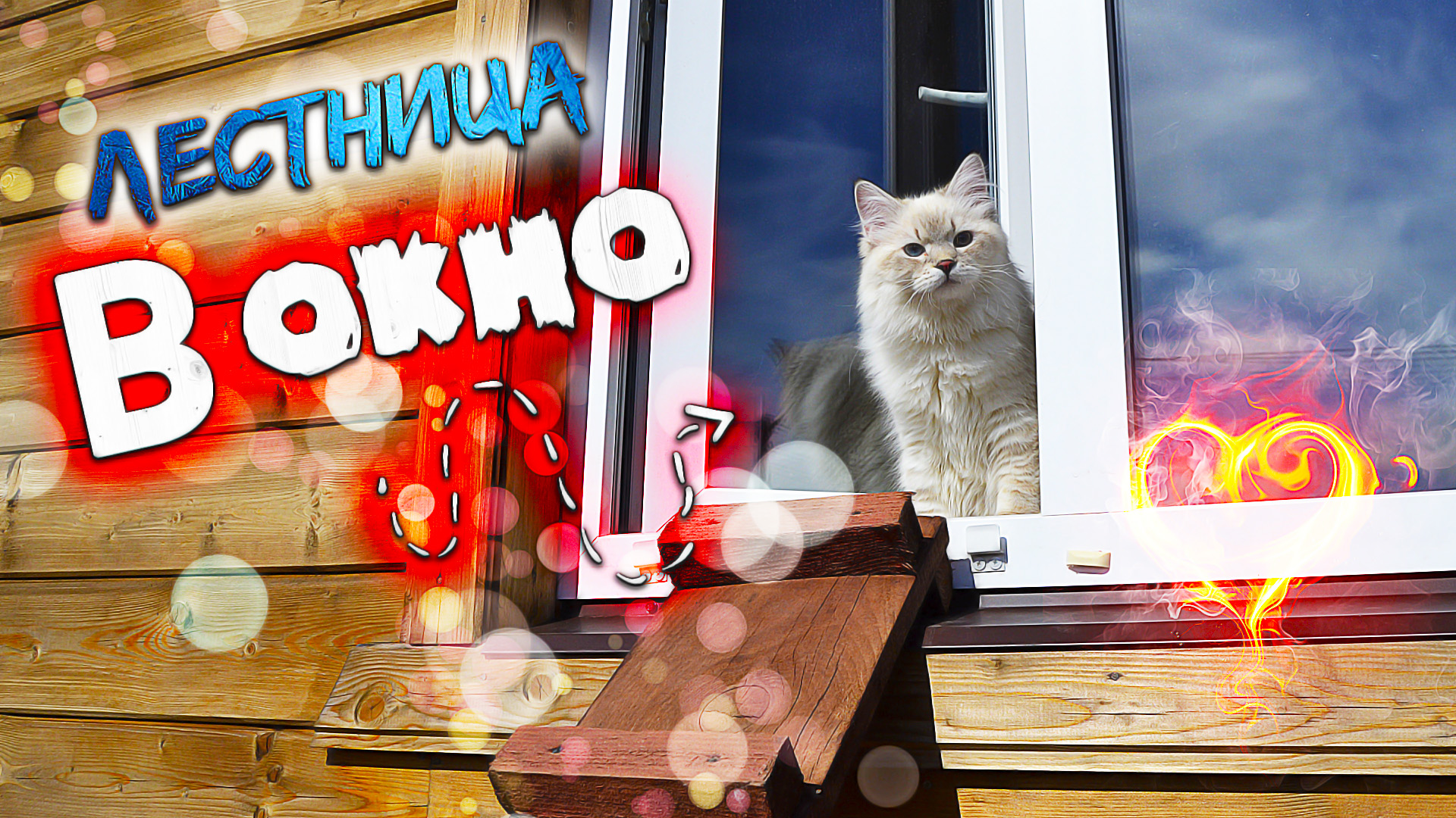 Будут ли рады наши КОШКИ⁉ Лестница в ОКНО для КОШЕК?