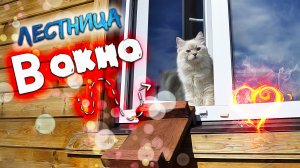 Будут ли рады наши КОШКИ⁉ Лестница в ОКНО для КОШЕК?