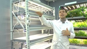 Обзор лучших гидропонных установок от СЕЕМ СЕМЕНА
