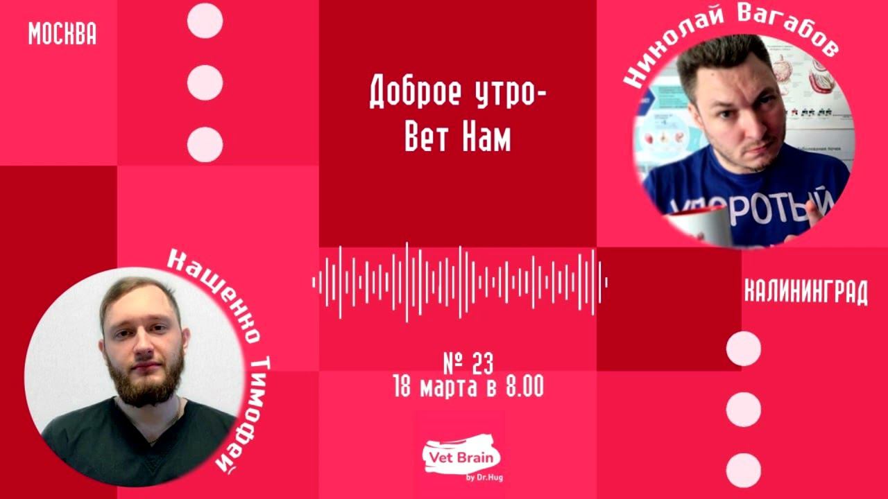 "ВетНам" №23, Тимофей Кащенко (18.03.2024)