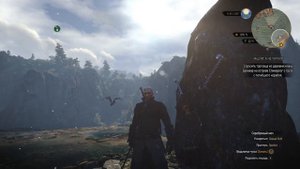 The Witcher 3: Wild Hunt Бирна Бран
