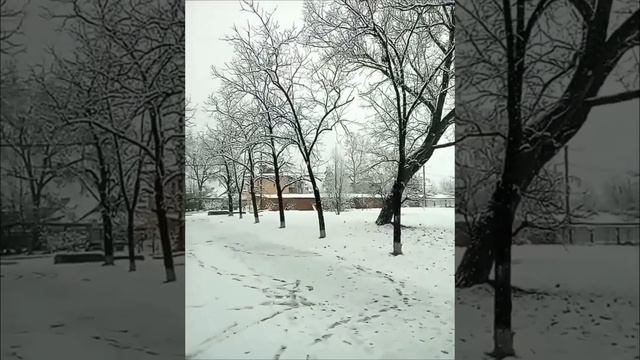 Самые лучшие подписчики это у меня