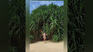 62.ШРИ ЛАНКА. ТРИП ПО ЮЖНЫМ ПЛЯЖАМ. ПЛЯЖ ХИРИКЕТИЯ (HIRIKETIYA BEACH).ПЛЯЖ МАУЭЕЛЛА (MAWELLA BEACH)