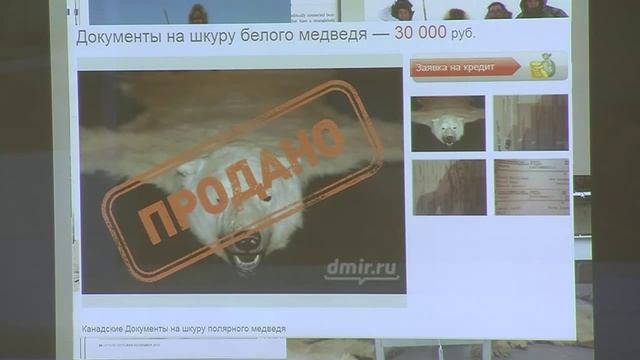 Белый медведь: шансы на выживание смотреть онлайн