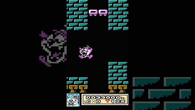 Tiny Toon Adventures | 8 bit