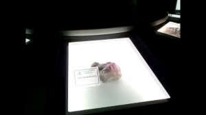 музей  Зеленая планета Фосагро Туры в Череповец