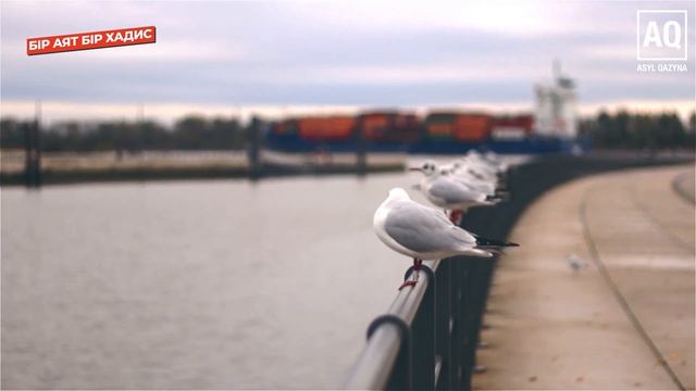 ТӘУЕКЕЛ ЕТУ ! ТӘУЕКЕЛ ТҮБІ ЖЕЛ ҚАЙЫҚ МІНЕСІҢДЕ ӨТЕСІҢ смотреть онлайн