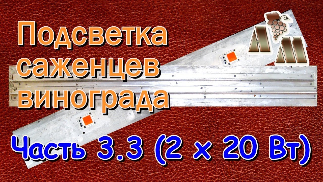 ? Светодиодная подсветка саженцев винограда. Часть  3.3 - Светодиодные чипы (2 по 20 Вт)