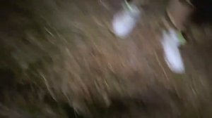 КЛОУН УГНАЛ НАШУ МАШИНУ ОБЬЯВИЛИ В РОЗЫСК в Полицию! КАЖЕТСЯ мы ЗНАЕМ КТО КЛОУН! Задания от ОНО!