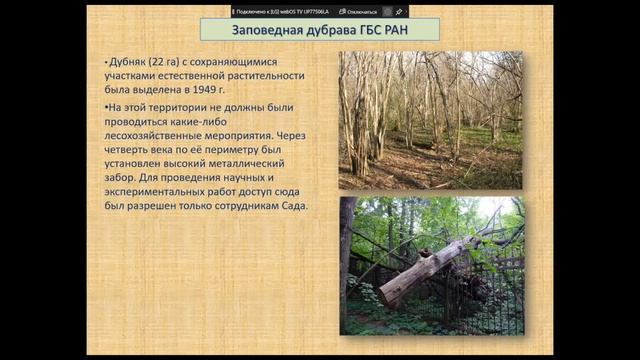 Можно ли сохранить лес в ботаническом саду? смотреть онлайн