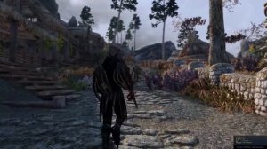 Сборка модов Skyrim SE