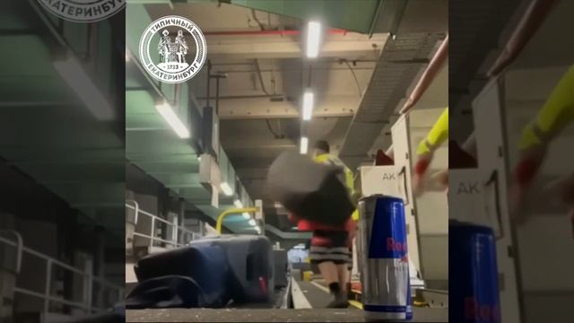 Как грузят багаж в аэропорту? смотреть онлайн