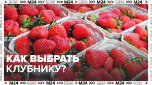 Как выбрать клубнику? — Москва24|Контент