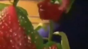 pov: та самая реклама на порнхабе