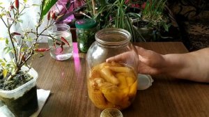 МОЙ РЕЦЕПТ ИЗ ГРИБА ВЕСЕЛКА //КАК СДЕЛАТЬ НАСТОЙКУ ХРЕНОВИНУ?