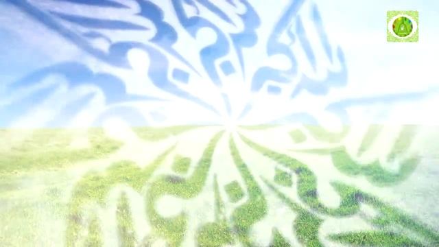 Какие слова произносил пророк (с.а.с) после молитвы? смотреть онлайн