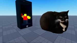 Maxwell кот в разных известных местах