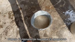 135 000 тг Прибыль бір Тайдан ? откорм лошадей 87082084510(ватсапп)