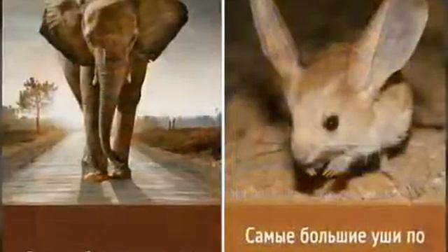 Миф и правда смотреть онлайн