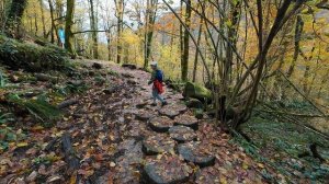 Куда сходить в Сочи зимой?