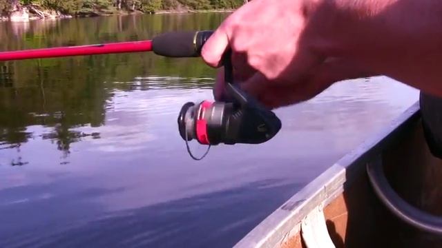 Limberlost Overview смотреть онлайн