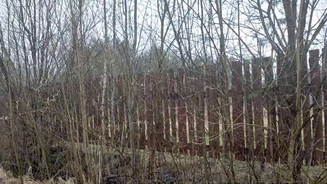 Очистка канавы от кустов и деревьев в пос. Вырица - гатчинский район. смотреть онлайн