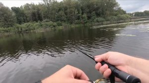 Ловля на ратлины и тейл-спиннеры