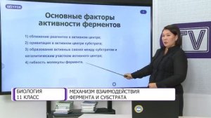 Биология. 11 класс. Механизм взаимодействия фермента и субстрата /07.09.2020/