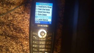 Samsung SGH-X620 Мелодии, SMS, Входящий и исходящий вызов/Melodies, SMS, Incoming & Outcoming Call