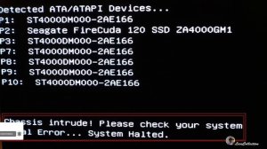 Chassis intrude! Please check your system Fatal Error ... System Halted.