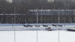 Московский ипподром. Бега. 27.01.13. Заезд 3(39).